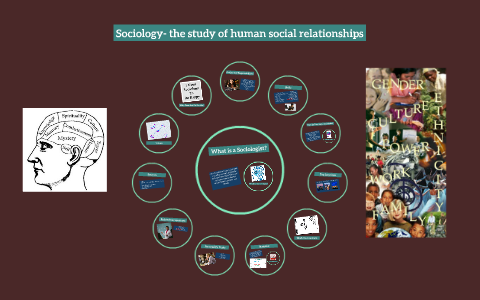 Sociology- the study of human social relationships by Lily Walter on Prezi