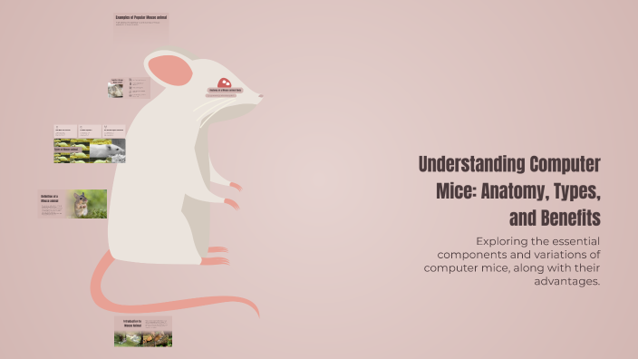 Understanding Computer Mice: Anatomy, Types, and Benefits by AVIAN ...