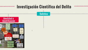 Investigación Científica Del Delito By Belén Rodríguez On Prezi Design