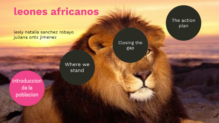 poblacion leones africanos by Juliana Jimenez on Prezi Next