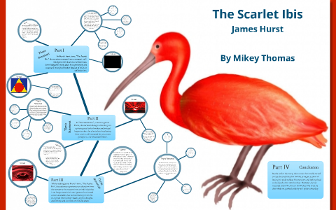 Реферат: The Scarlet Ibis Essay Research Paper The