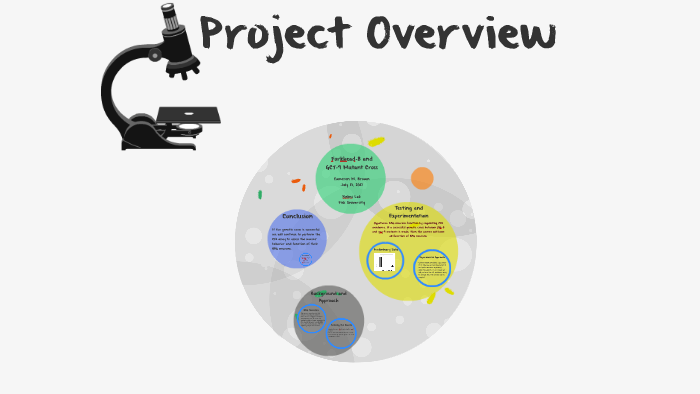Project Overview by Cameron Brown on Prezi