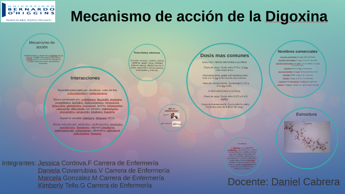 Mecanismo De Accion De La Digoxina prezi.com