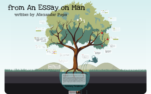 essay on man line by line explanation