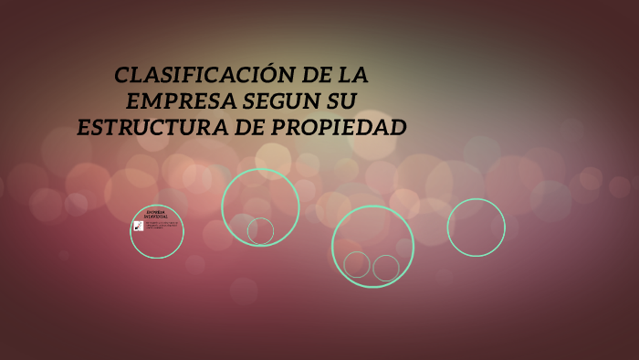 CLASIFICACION DE LA EMPRESA SEGUN SU ESTRUCTURA DE PROPIEDAD by Cesar ...