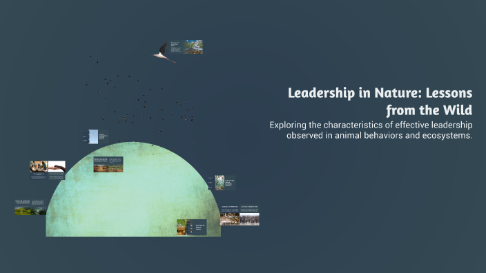 Leadership in Nature: Lessons from the Wild by Anuar Majid on Prezi