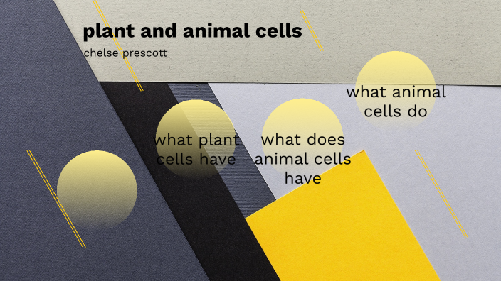 plant and animal cells by Chelse Prescott on Prezi