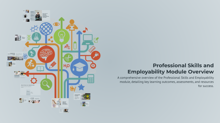 Eployability Overview Professional Skills and Employability Module Overview by on Prezi