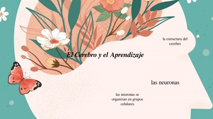 El Cerebro y el Aprendizaje - Zauner by Andrea Zauner on Prezi