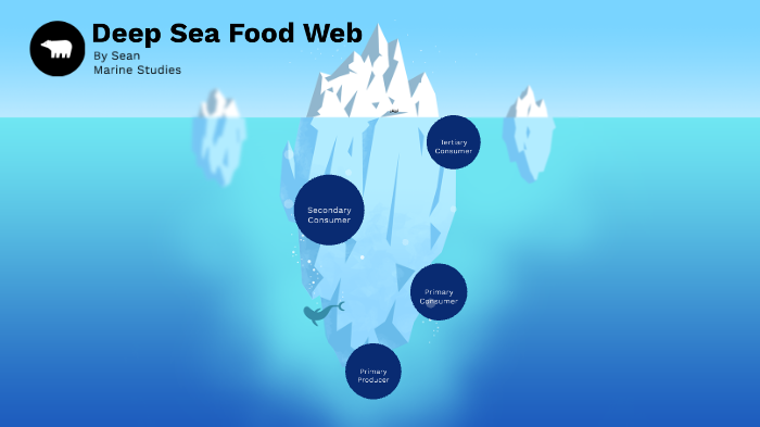 deep-ocean-food-chain-by-sean-g-on-prezi
