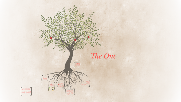 the north star from the one by kiera cass