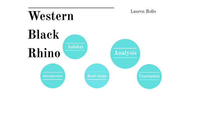 western black rhino by lauren rollo on Prezi