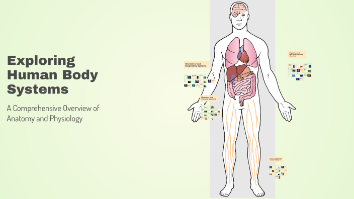 Exploring Human Body Systems by Yazmine Perez on Prezi