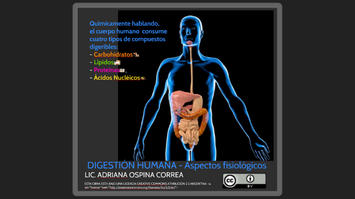 DIGESTIÓN HUMANA by Adriana Ospina Correa on Prezi