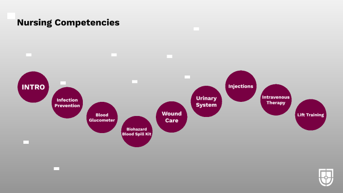 Nursing 2022 Competencies By Stephanie White On Prezi   Icnbpfnsbmxfrh7ydleacljtcp6jc3sachvcdoaizecfr3dnitcq 3 0 