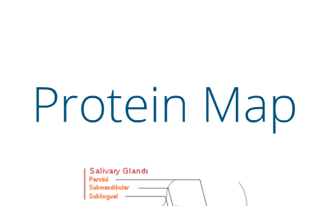 Proteinsimple Jess Plate Map.pdf Science Protein Map by jballinger kai on Prezi
