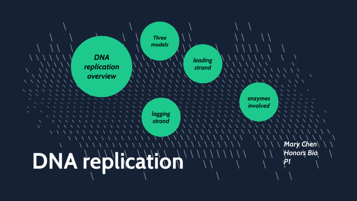 DNA replication by Letong Chen on Prezi