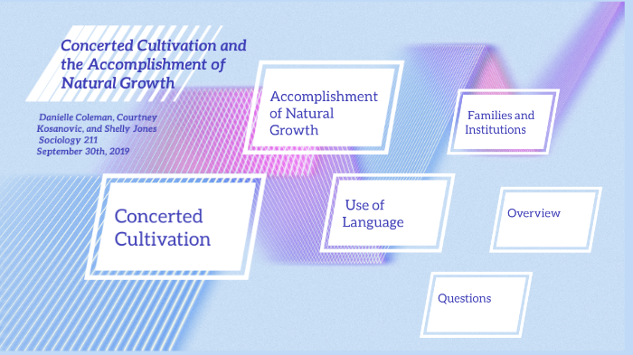 What Is Concerted Cultivation In Sociology