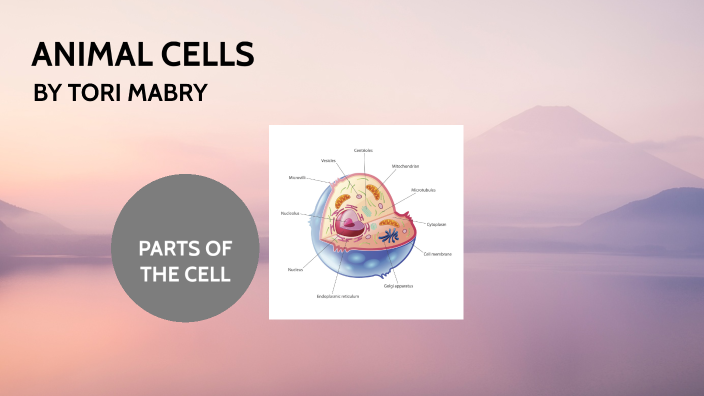 ANIMAL CELLS by Christopher Mabry on Prezi