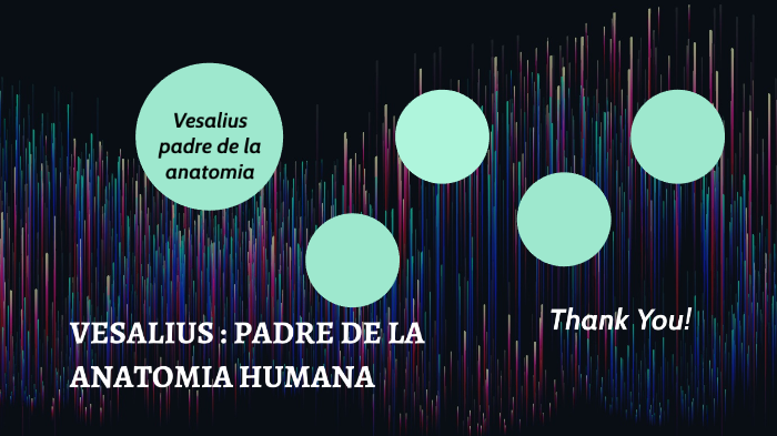 VESALIUS PADRE DE LA ANATOMÍA HUMANA by Camila Delgado