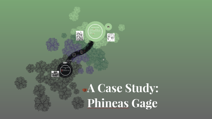 phineas gage case study a level psychology