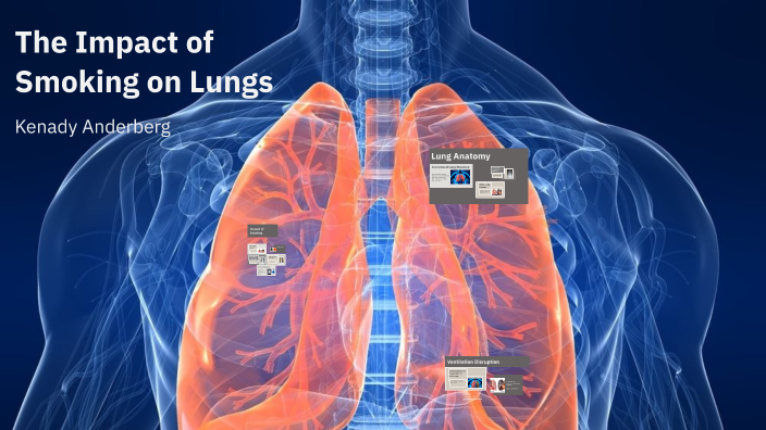 The Impact of Smoking on Lungs by Kenady Anderberg on Prezi