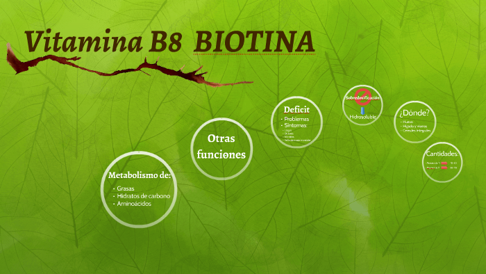 Vitamina B8 Biotina By 5398