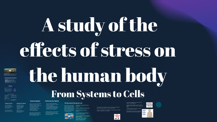 A study of the effects of stress on the human body From Systems to ...