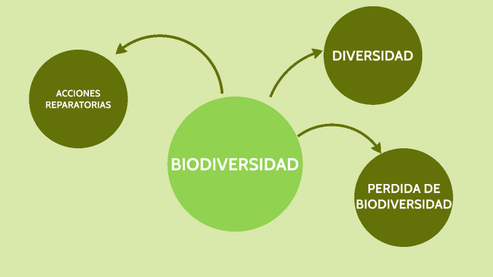 biodiversidad by Tomas Reimberg on Prezi