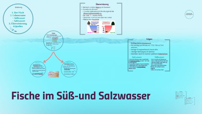 Ein Vortrag Von Dimana Petrova By P Diddy On Prezi