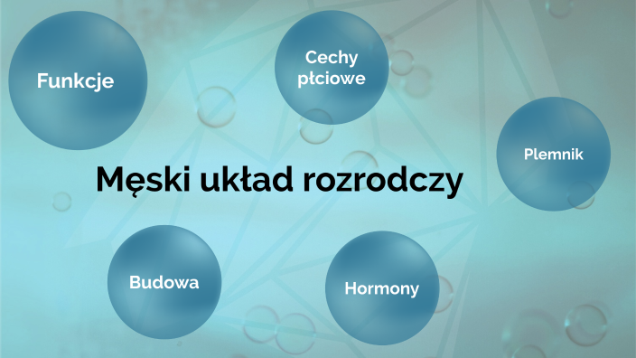 Prezentacja Biologia - Męski układ rozrodczy by Zuzia Nazwisko on Prezi