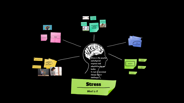 Stress by Allie Smith on Prezi
