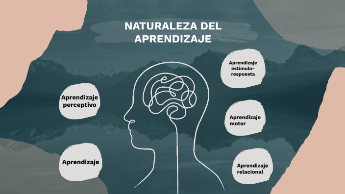 Naturaleza de Aprendizaje by diego barragan on Prezi