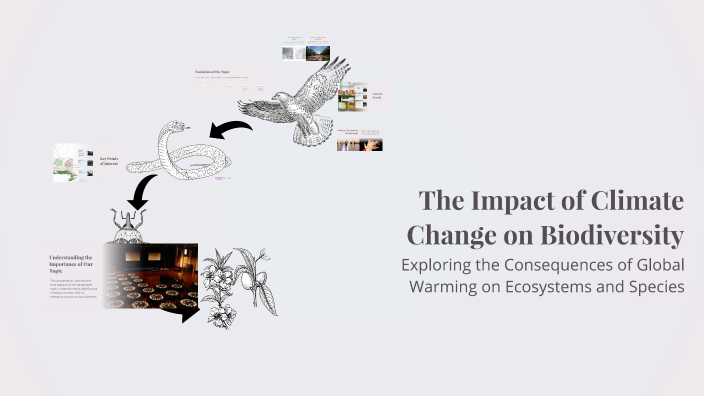The Impact of Climate Change on Biodiversity by бабуин ну on Prezi