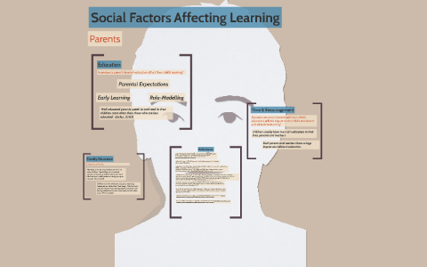 Factors of social learning new arrivals