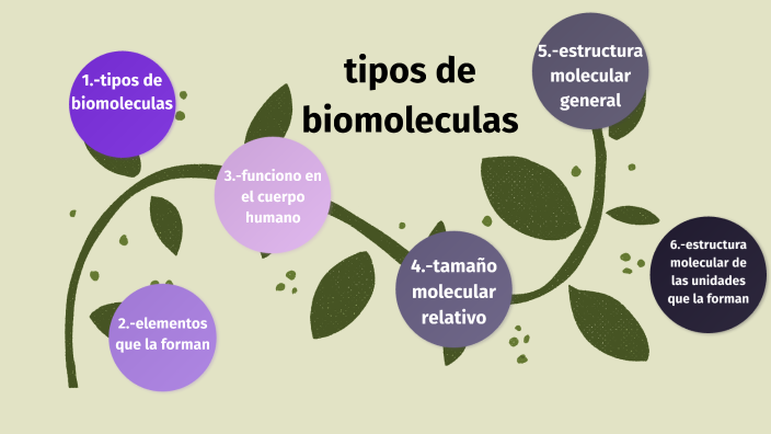 tipos de biomoleculas by Vanessa Jacqueline Vázquez Pérez on Prezi