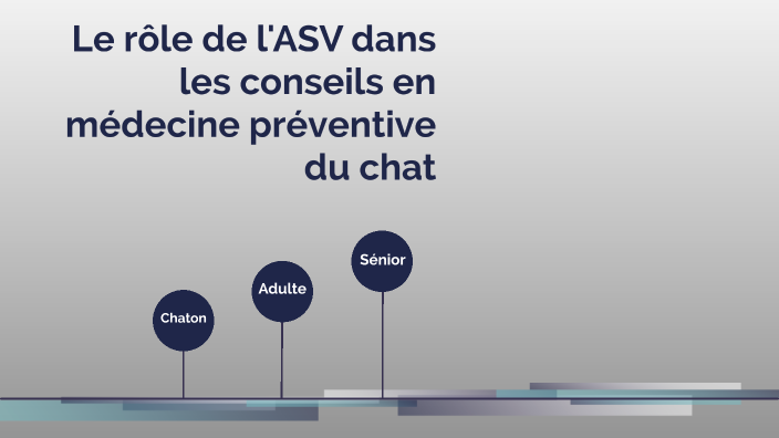 rapport d'activité by Lisa Péron on Prezi