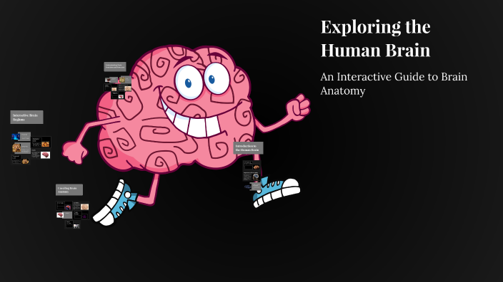 Exploring the Human Brain by victor Lopez on Prezi