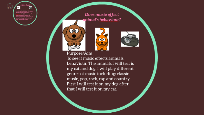 Does music effect animal’s behaviour? by Remy Foster