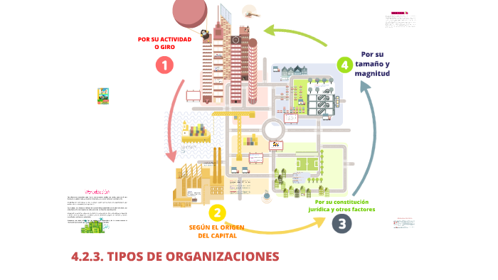 Tipo de organización