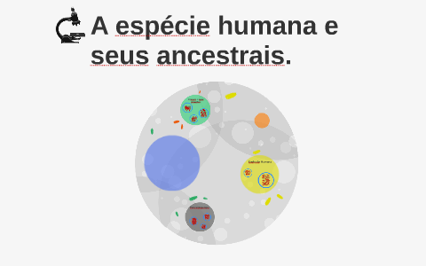 A espécie humana e seus ancestrais. by Donda Fit on Prezi