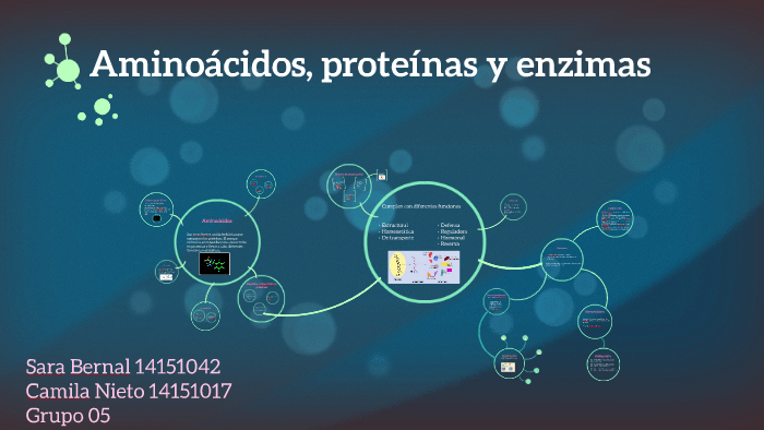 Aminoácidos Proteínas Y Enzimas By Camila Nieto 1038
