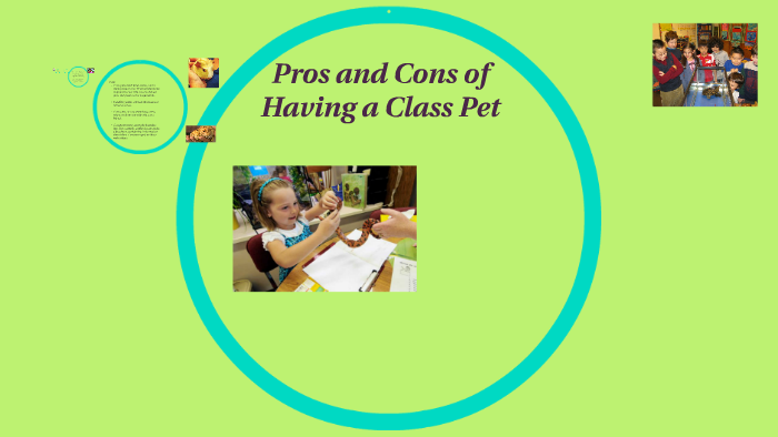 pros and cons of having a pet essay