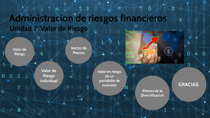 Administracion De Riesgos Financieros By Lizbeth Saavedra 8362