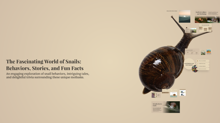 Snail Behavior The Fascinating World of Snails: Behaviors, Stories, and Fun Facts by ...