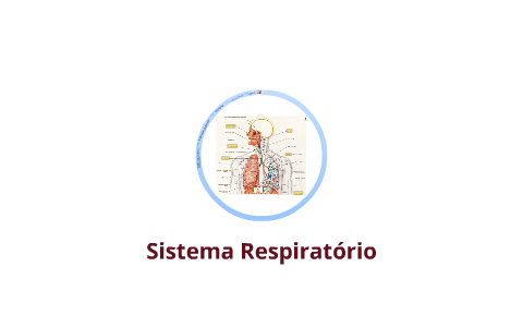 Revisão Sistema Respiratório by Jaiane Boton on Prezi