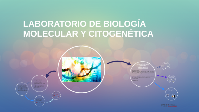 Laboratorio De BiologÍa Molecular Y CitogenÉtica By Marina Mh On Prezi 0615