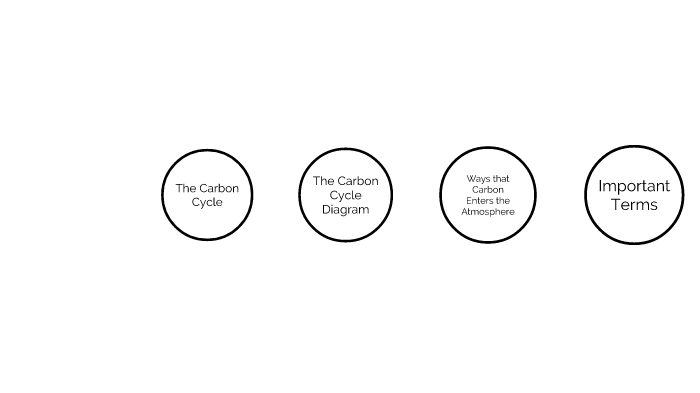 The Carbon Cycle by Christian Ramirez on Prezi