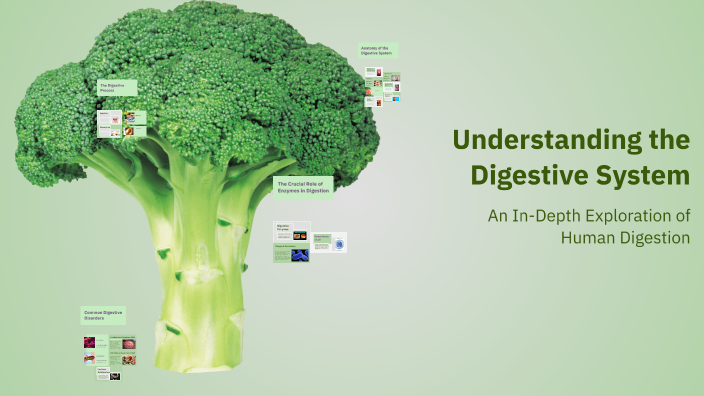 Understanding the Digestive System by Kennady Moore on Prezi