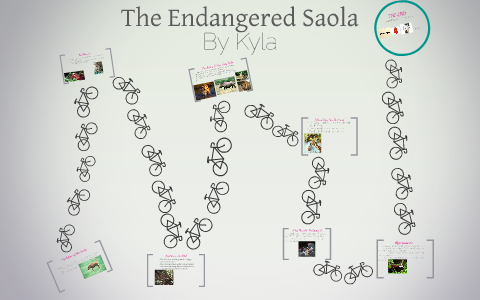 Endangered Species by on Prezi